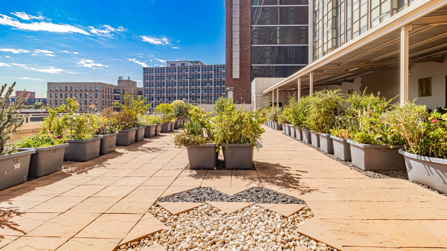 0 Bedroom Property for Sale in Bellville Central Western Cape